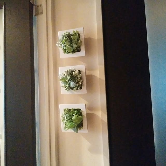 hokokoさんの実例写真