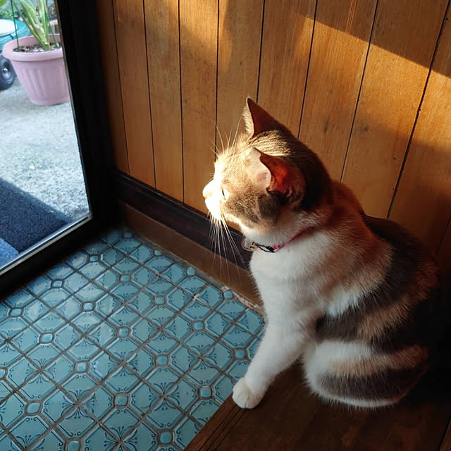 fukuさんの実例写真