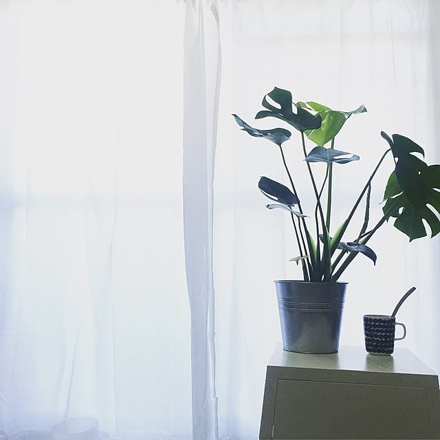 cocoさんの実例写真