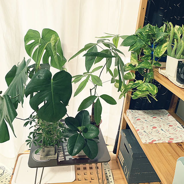 moko7ruiさんの実例写真