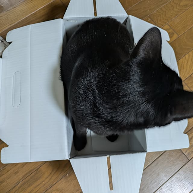 asaさんの部屋