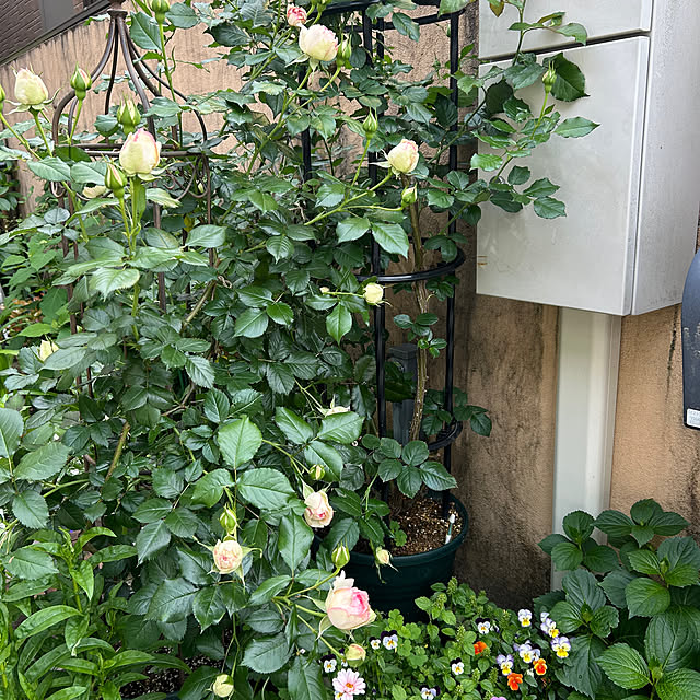 fumikoiさんの部屋