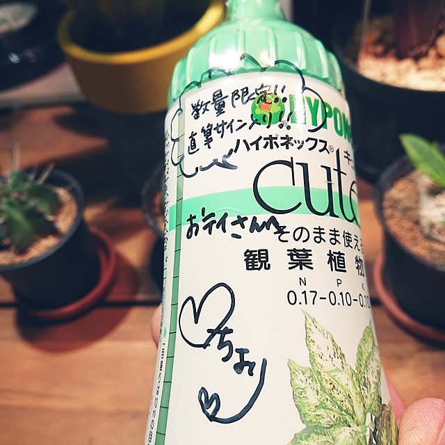 ot-gardenさんの部屋