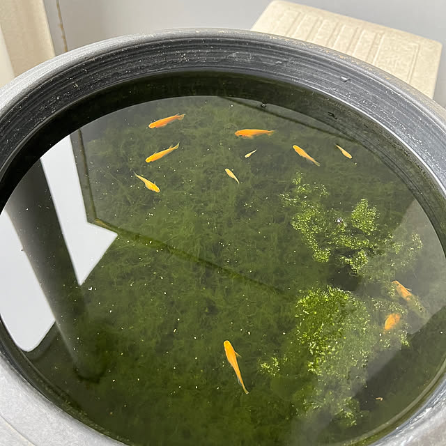 miさんの部屋