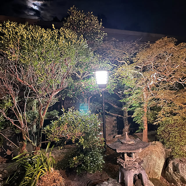 shin0719さんの実例写真
