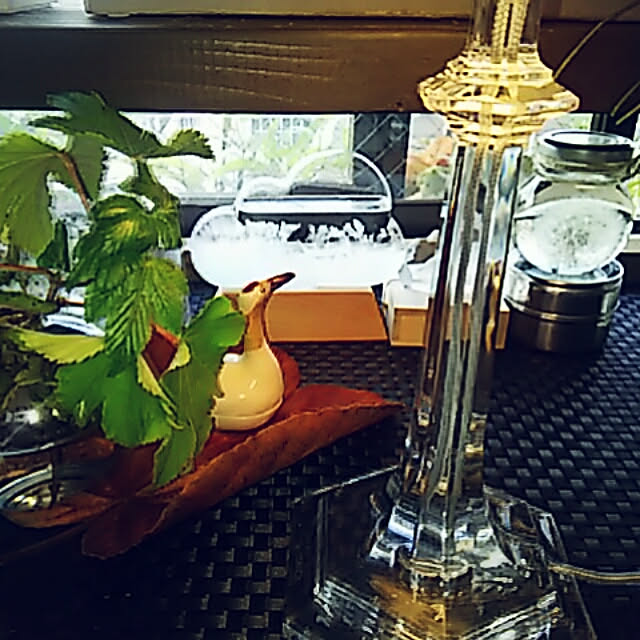 spinetailさんの実例写真