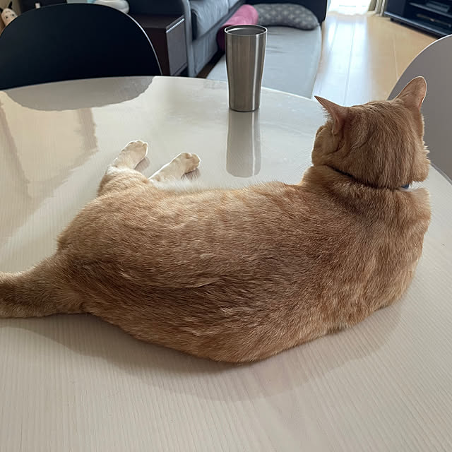 chiiさんの部屋