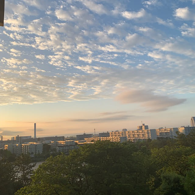 syutmmさんの部屋