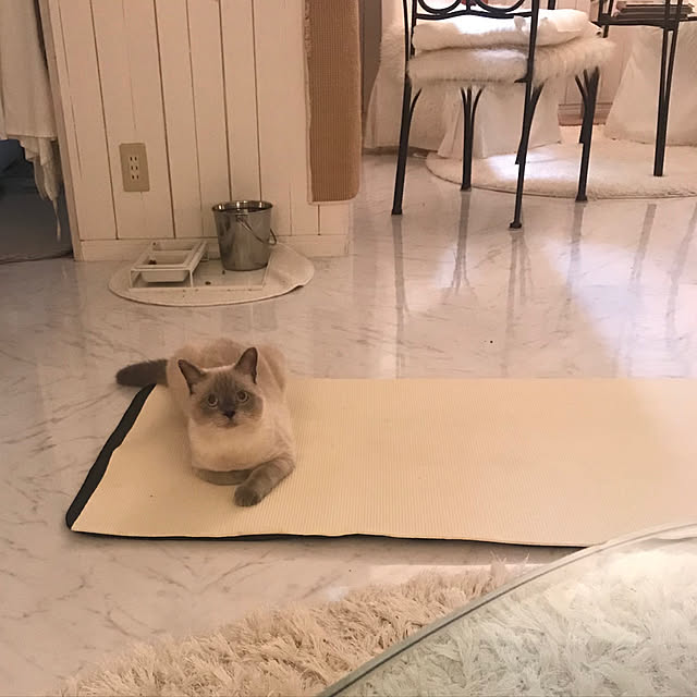gingerwynksさんの実例写真