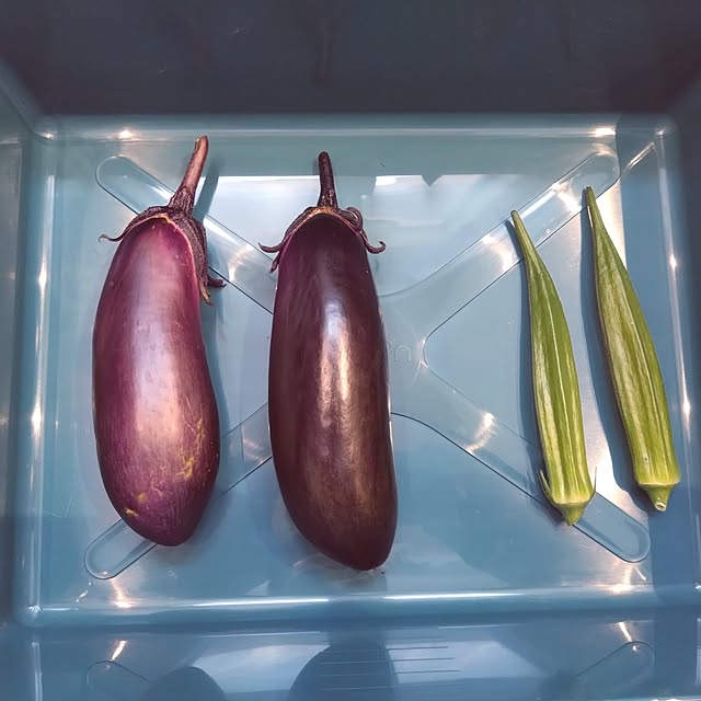 NAOKIさんの実例写真