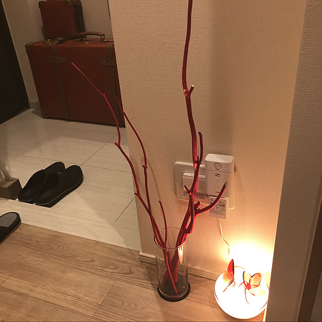Philips Hue/amazon echo/玄関/入り口/baccaratのインテリア実例 - 2021-01-09 00:36:38