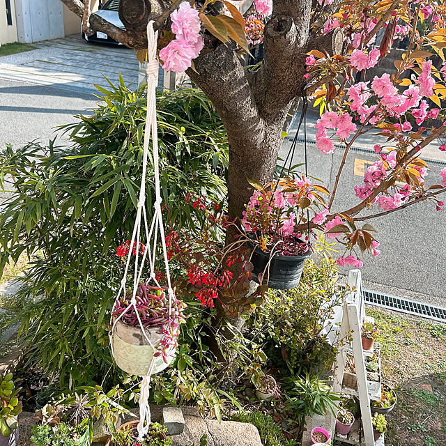 rizumu4649さんの部屋