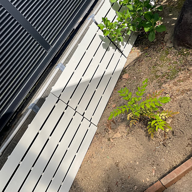 kuikoさんの部屋