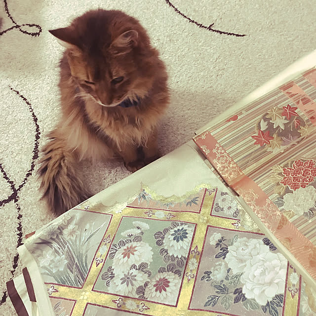 yukarinさんの実例写真