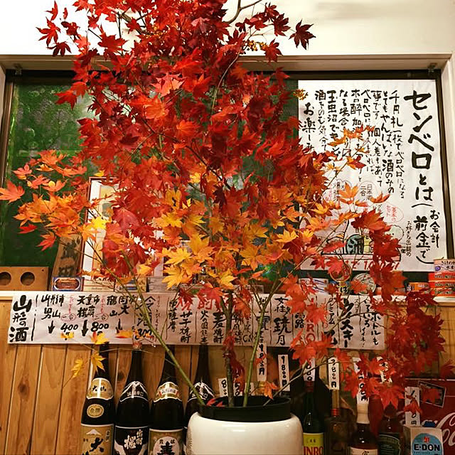 実例写真