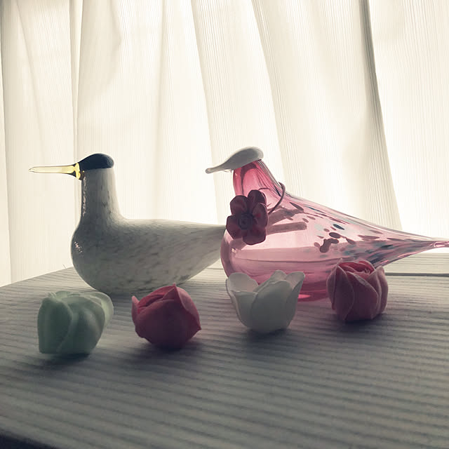 chacoさんの実例写真