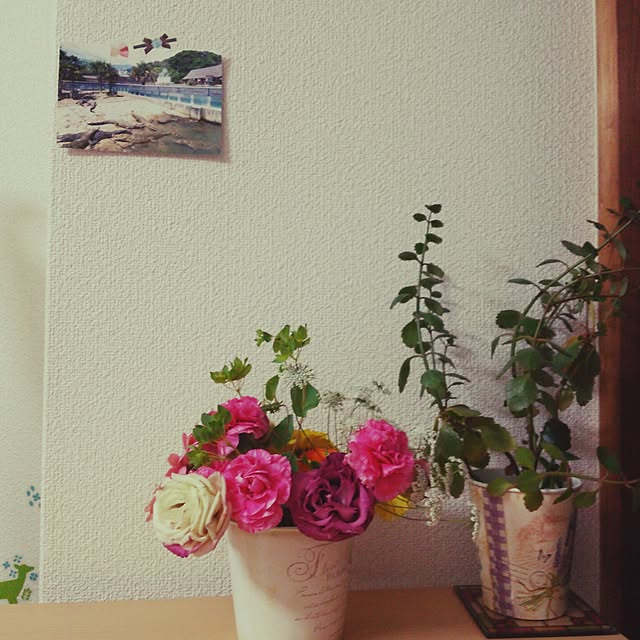 Abbyさんの実例写真