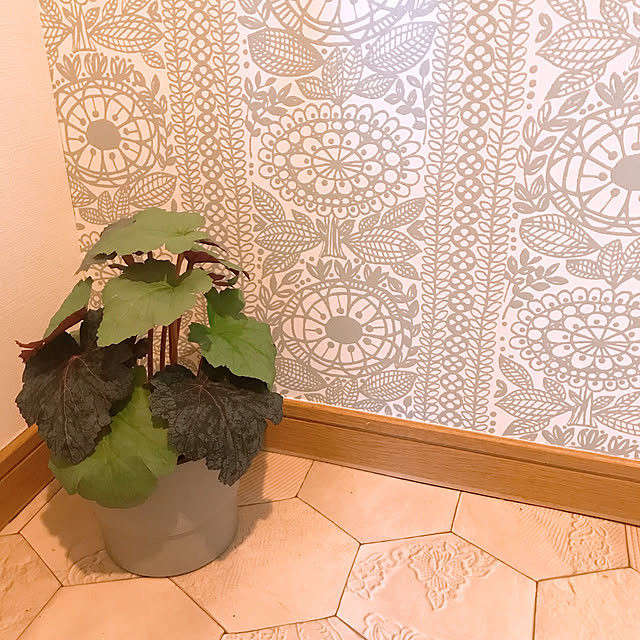 aiさんの実例写真