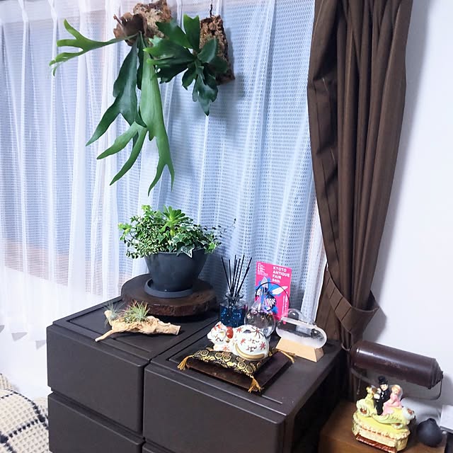 NSDさんの実例写真