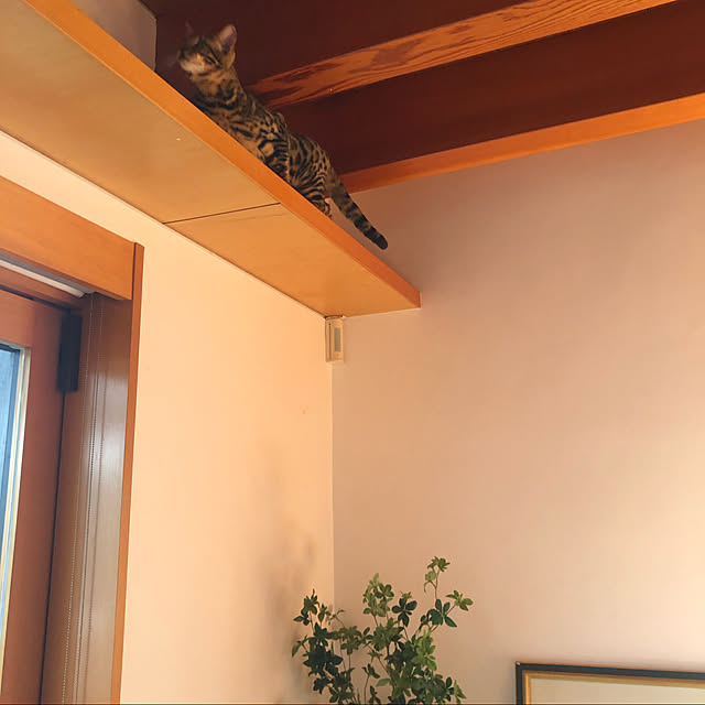 kabu10さんの実例写真