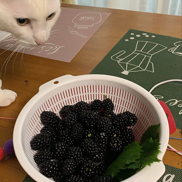 moyuhiさんの実例写真