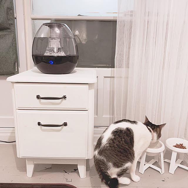Shihoさんの実例写真