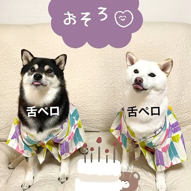 mo-nosukeさんの部屋
