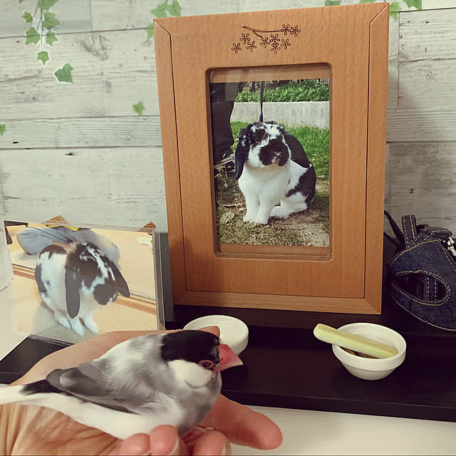 Chhhiさんの実例写真