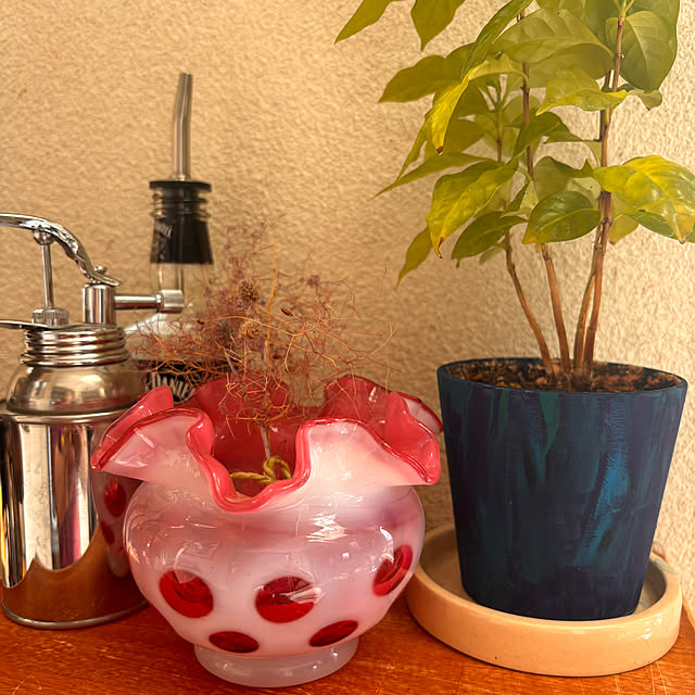 mamichopさんの部屋