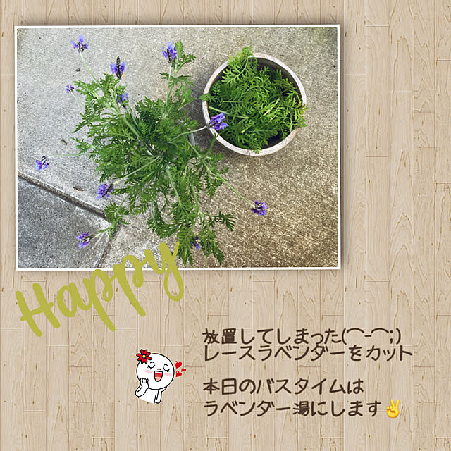 Love.Lapinさんの実例写真