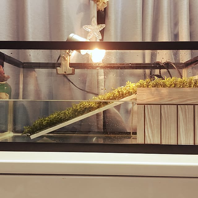 kouneさんの実例写真