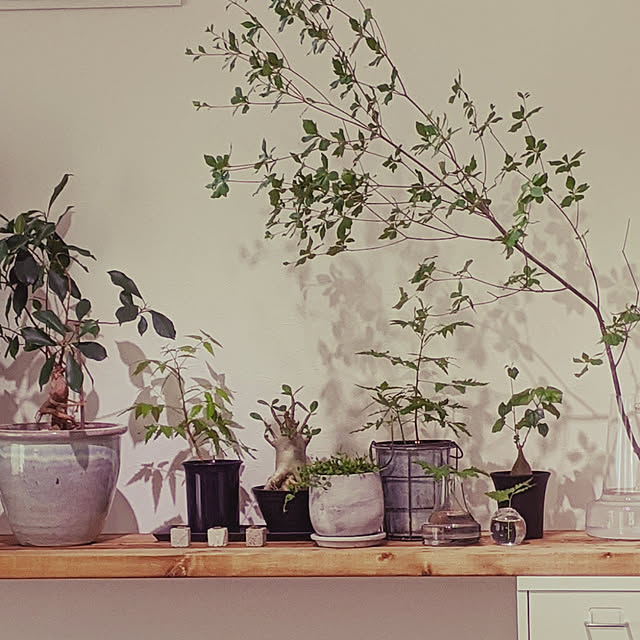 R+homeさんの実例写真