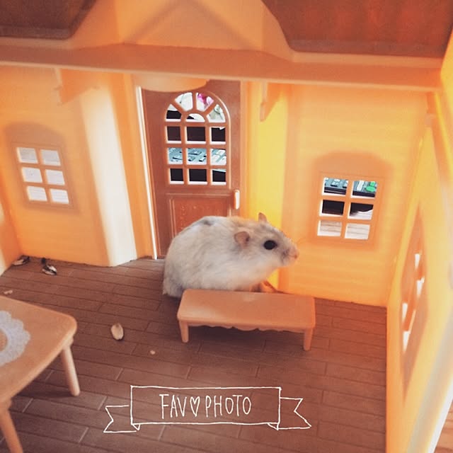 izumiさんの実例写真