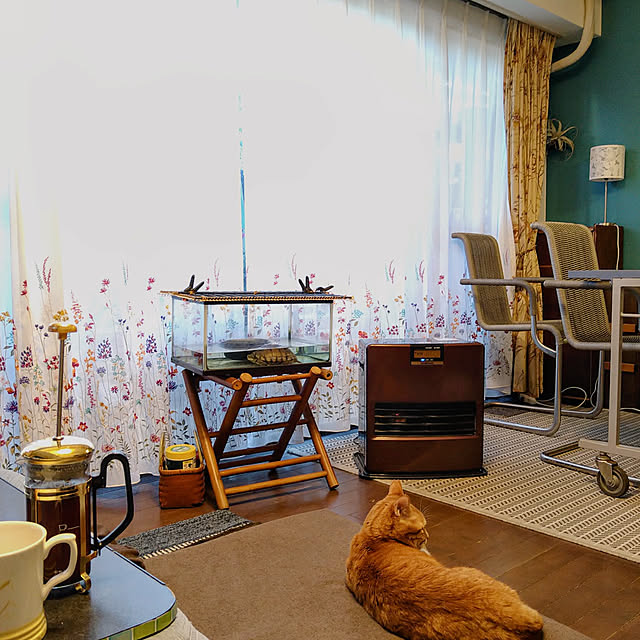 okyosan101さんの実例写真