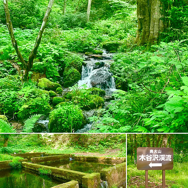 tututu0204さんの部屋