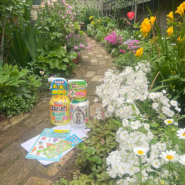 na-chanさんの部屋