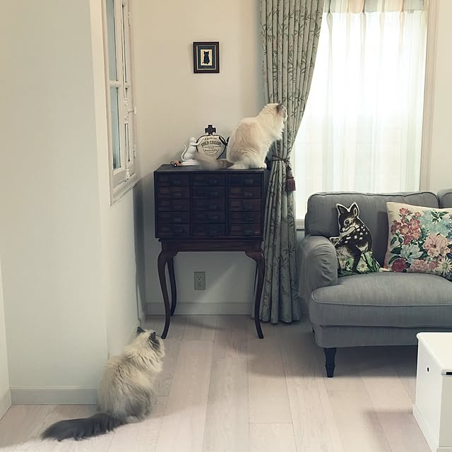 yuchiさんの実例写真
