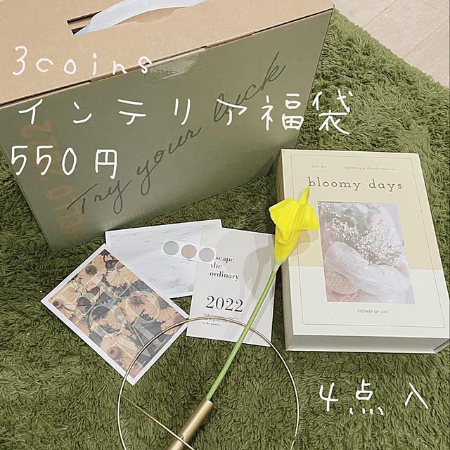 yu-iさんの実例写真