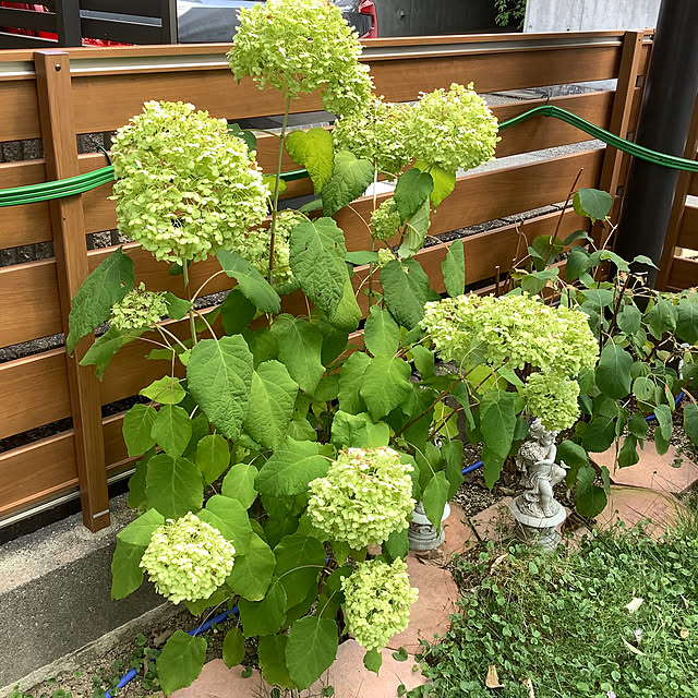 haruminさんの部屋