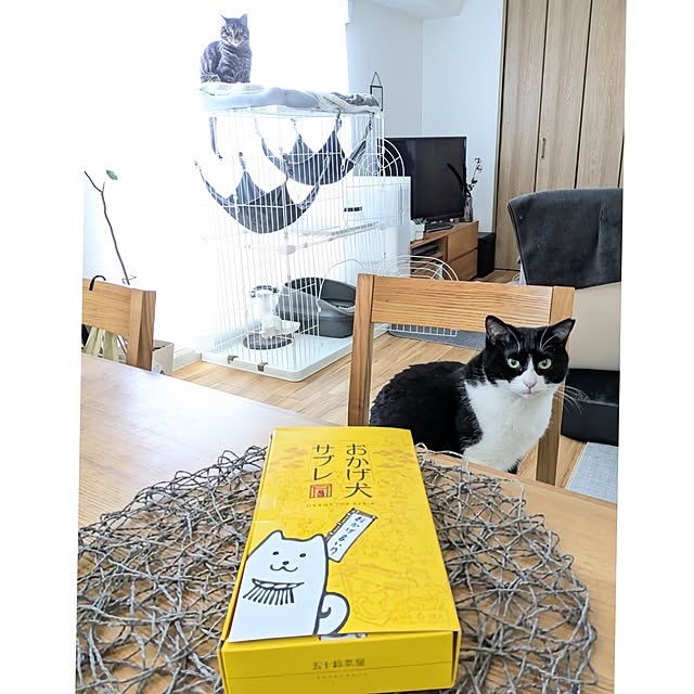 hihaさんの部屋