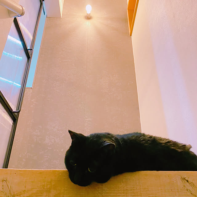 appoさんの実例写真