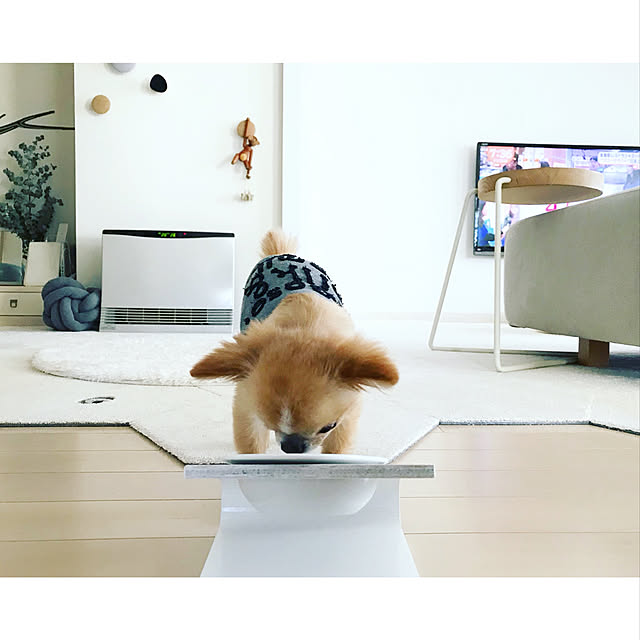 haruhinaさんの実例写真