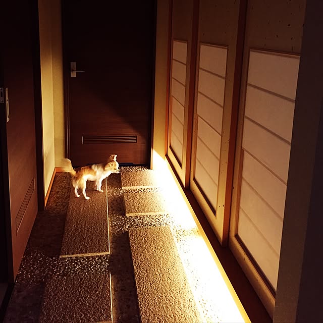 実例写真