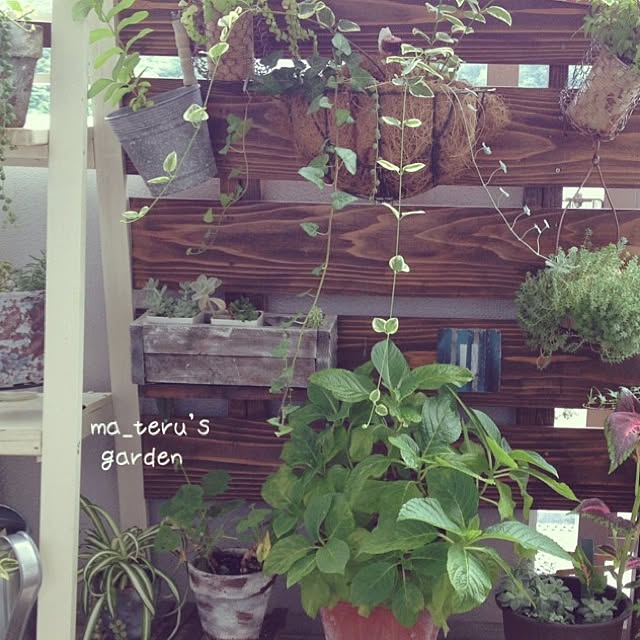 ma_saruさんの実例写真