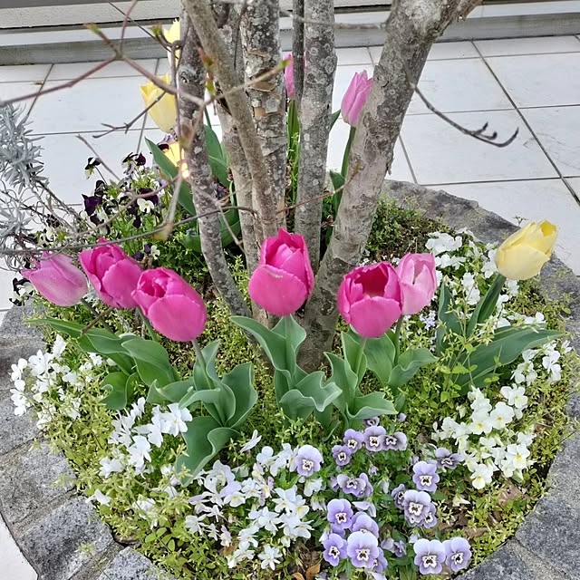 kijikijikoさんの部屋