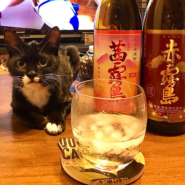 butachanさんの実例写真