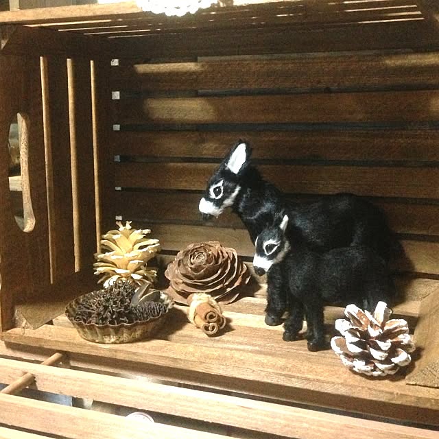 edenさんの実例写真