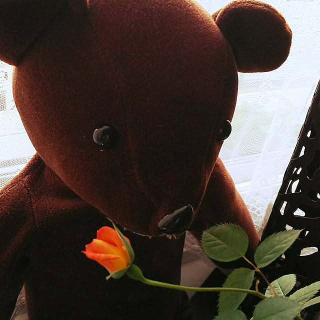 nyankonecoさんの実例写真