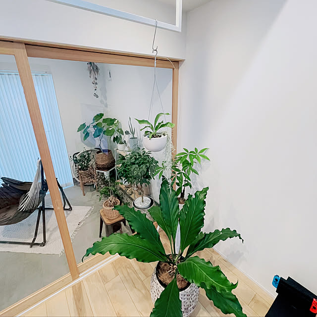 YUKOさんの実例写真
