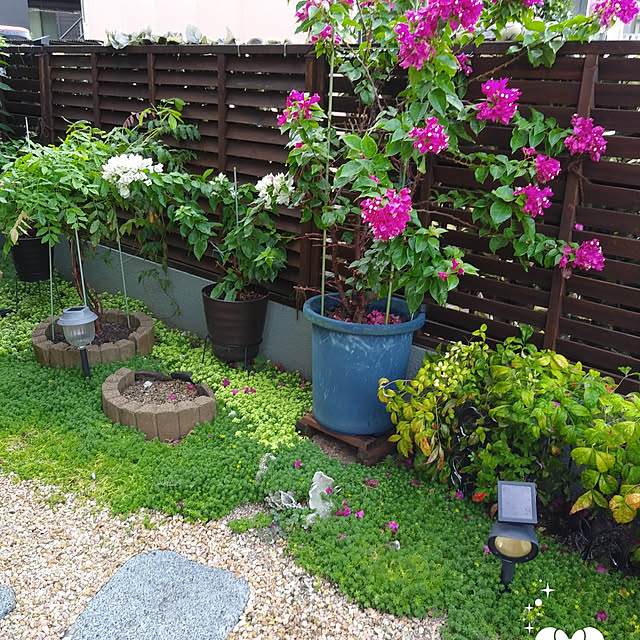 yamamotocooky8578さんの実例写真
